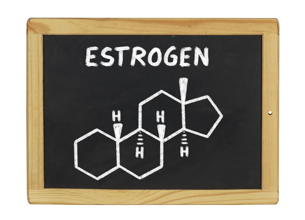 99 Loại thực phẩm chứa nhiều estrogen