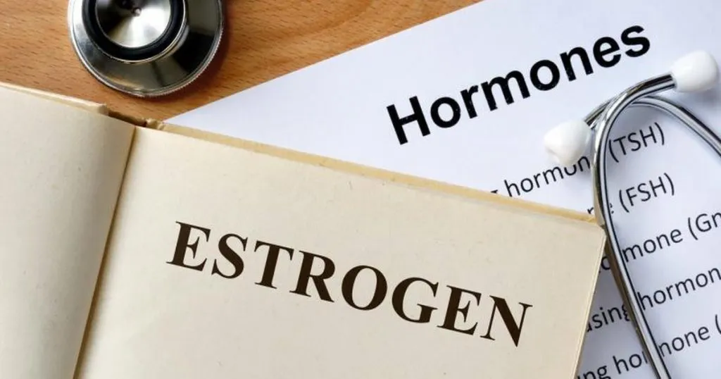 99 Loại thực phẩm chứa nhiều estrogen