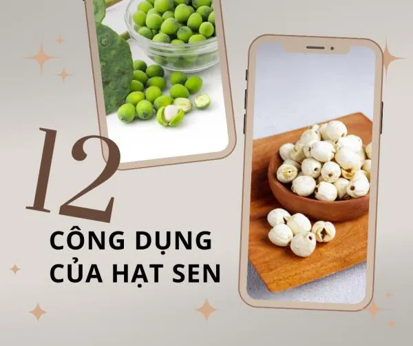 Ăn hạt sen có tác dụng gì? 12 công dụng đối với sức khỏe