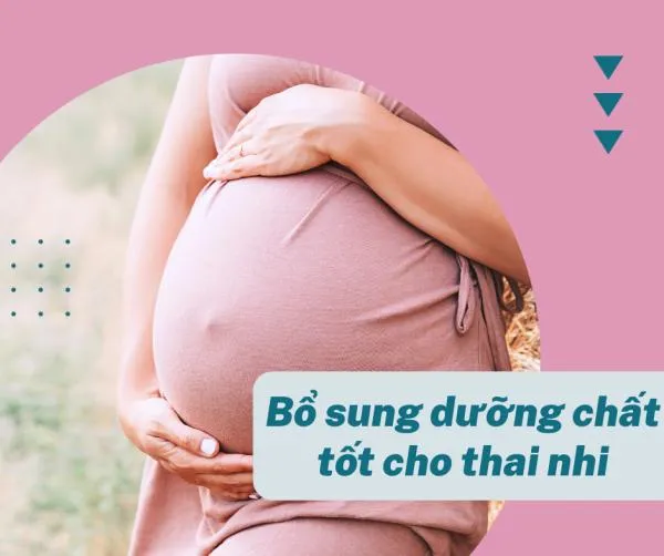 Ăn hạt sen có tác dụng gì? 12 công dụng đối với sức khỏe