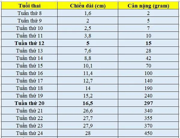 Bảng cân nặng thai nhi theo tuần mẹ bầu cần biết