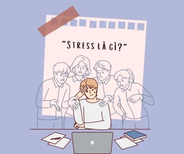 Gợi ý 12 thực phẩm giảm stress hiệu quả