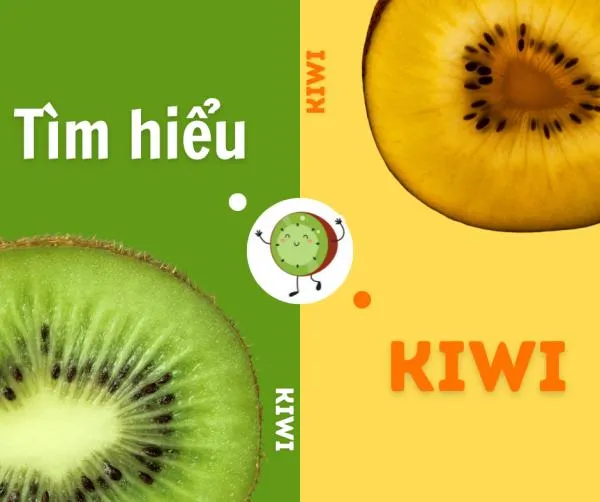 Kiwi có tác dụng gì? 8 công dụng tuyệt vời của kiwi