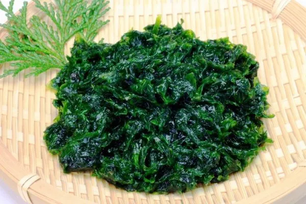 Tảo xoắn Nhật Bản Spirulina ngừa ung thư hiệu quả