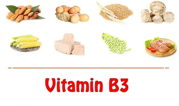 Uống vitamin B1, B2, B3, B6, B12 có tác dụng gì?