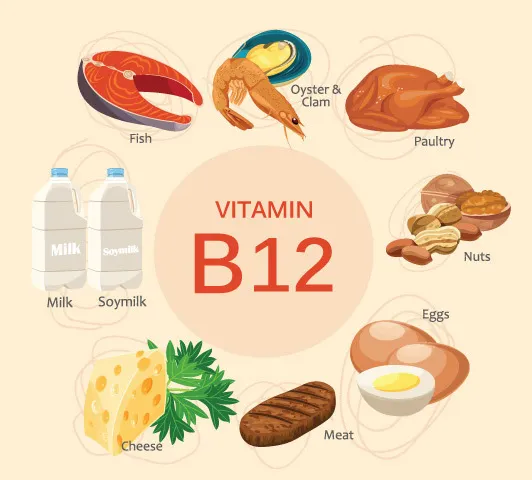 Uống vitamin B1, B2, B3, B6, B12 có tác dụng gì?